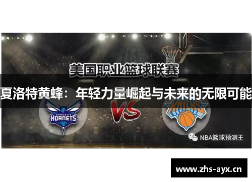 夏洛特黄蜂：年轻力量崛起与未来的无限可能